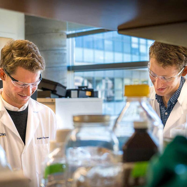 Lab scientists testing ingredients