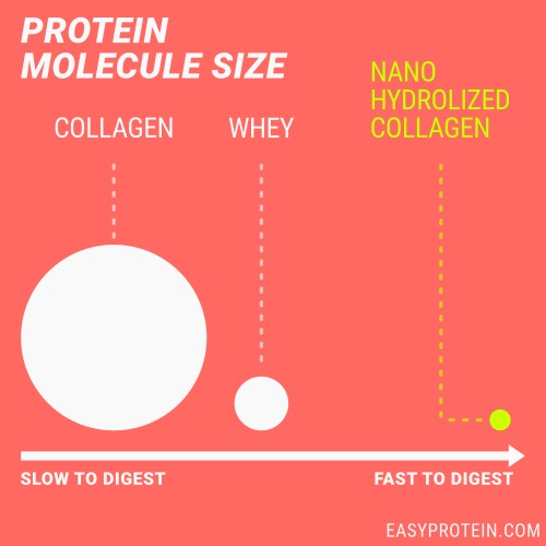Diagram illustrating hydrolyzed collagen peptide size